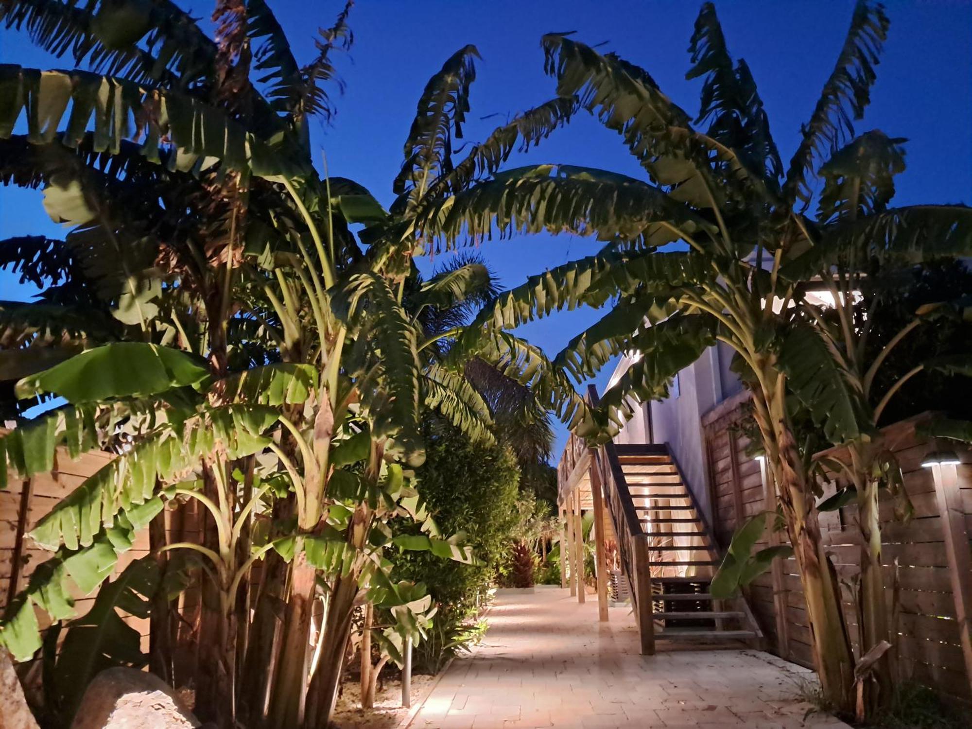 The Forest - Saint Martin 4 Etoiles Cul de Sac Bagian luar foto